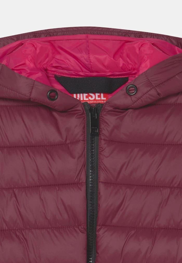 Diesel JIWEI UNISEX - Winter Coat - Windsor Wine - Image 3